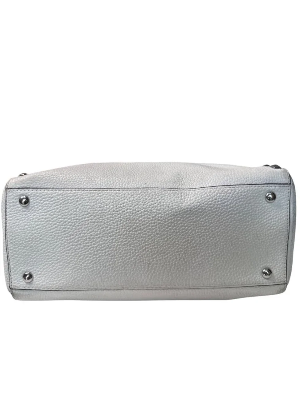 Michael Kors chic companion